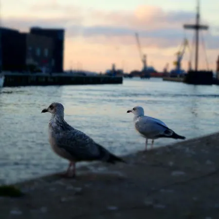 Altstadthaus Timpete Wißmar