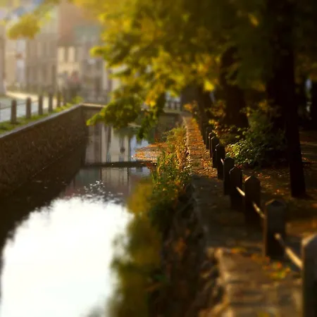 Altstadthaus Timpete Feriehus *