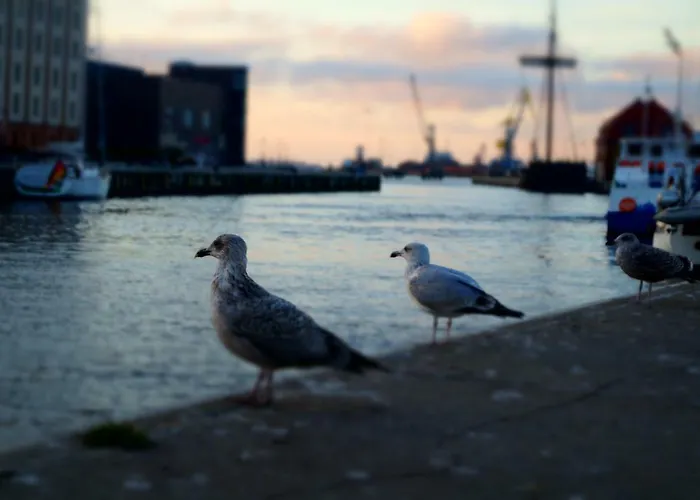 Altstadthaus Timpete Wißmar